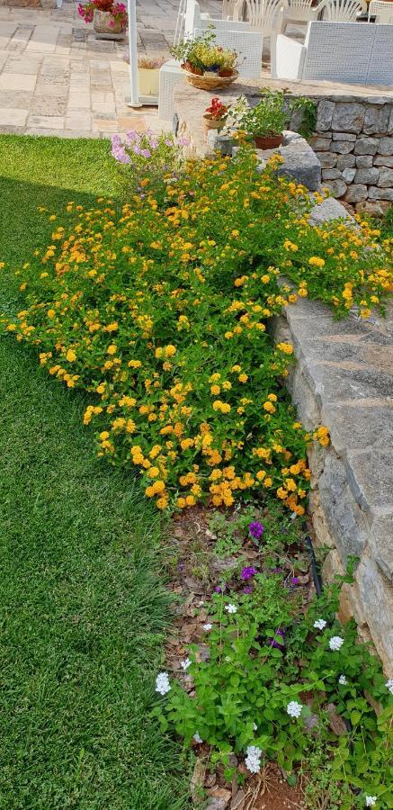 Bed and Breakfast Balice Antica Dimora Monopoli Exterior foto